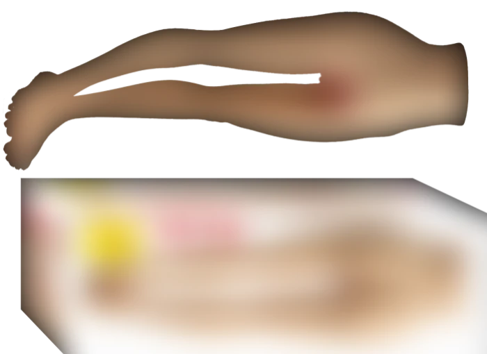 Bacak Mastürbatör En Büyük Boy - Uygun Fiyatlarla TD Markette - tdmarket.com.tr