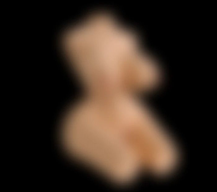 18 kg Realistik Yarım Vücut Ürünü TD Market - tdmarket.com.tr